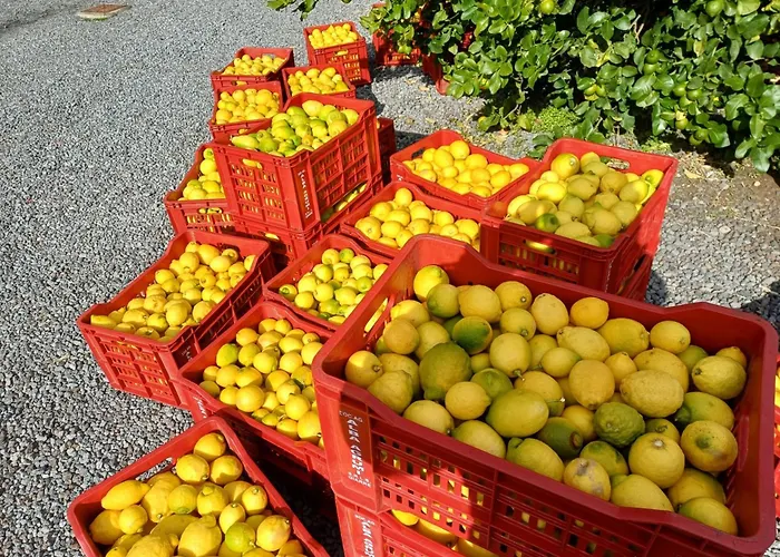 Profumo Di Zagara Acireale