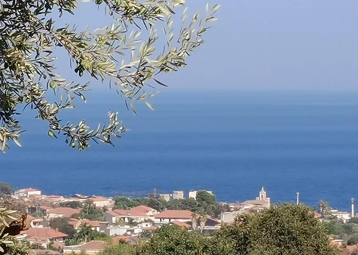 Profumo Di Zagara Acireale